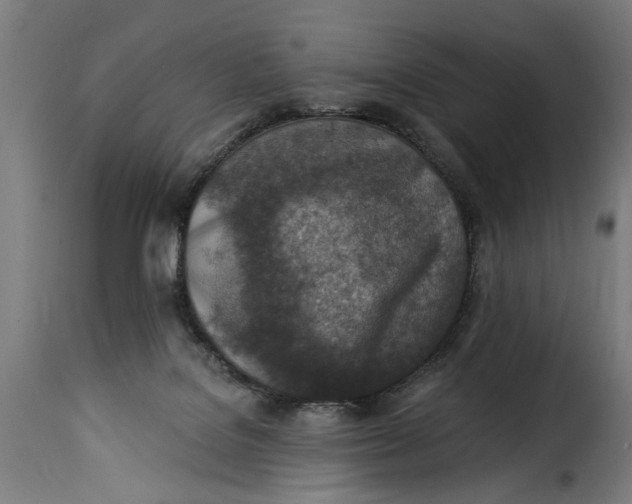 X0000115230076200911201607