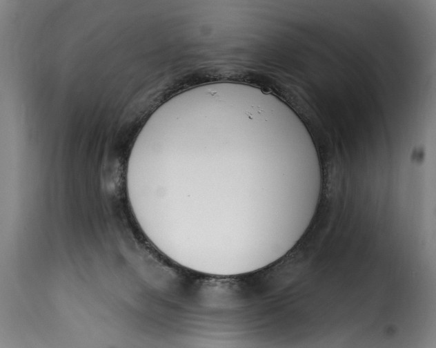 X0000115230077200911201607