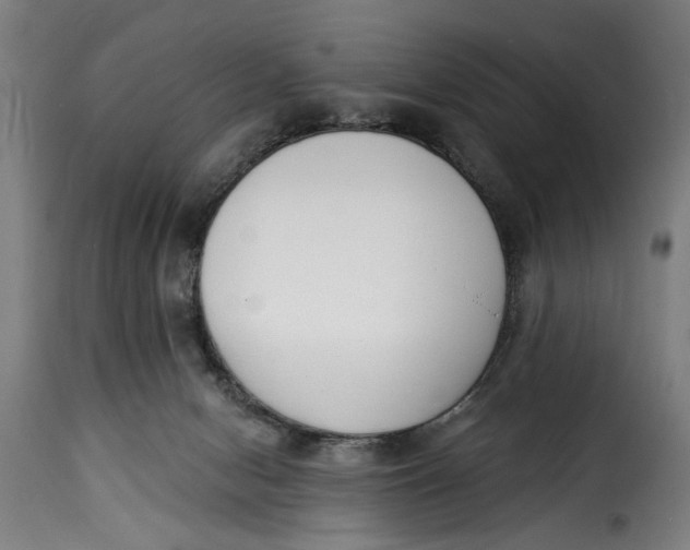 X0000115230078200911201607