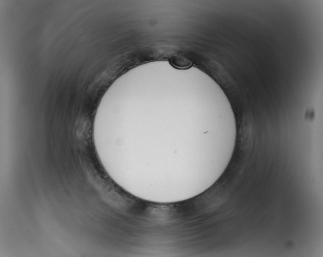 X0000115230079200911201607