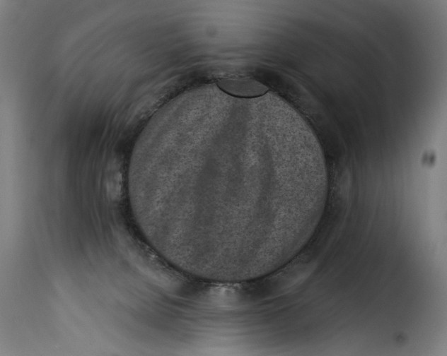 X0000115230080200911201607