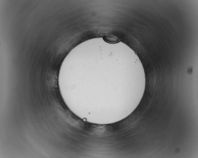 X0000115230083200911201607