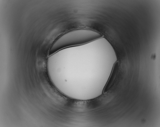 X0000115230084200911201607