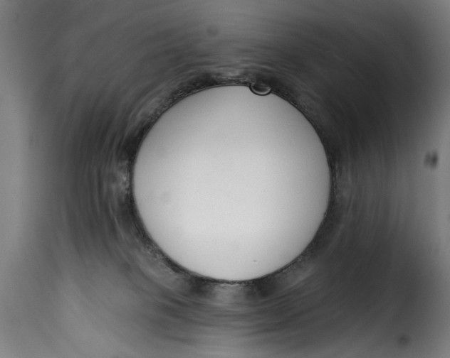 X0000115230085200911201607