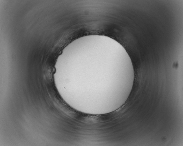 X0000115230086200911201607