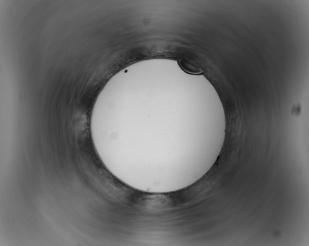 X0000115230087200911201608