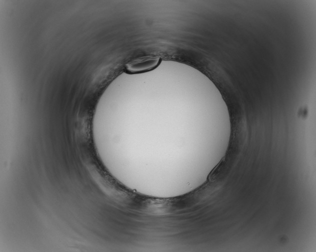 X0000115230088200911201608