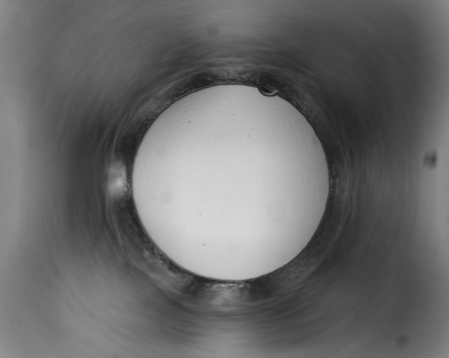 X0000115230089200911201608