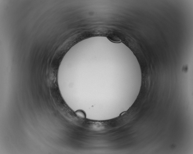 X0000115230091200911201608