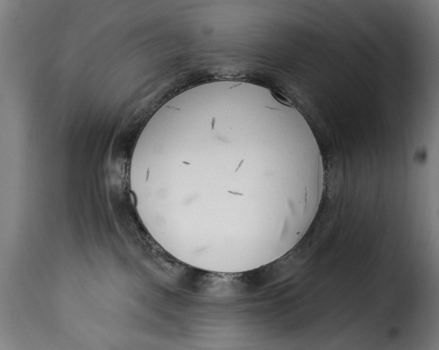 X0000115230093200911201608