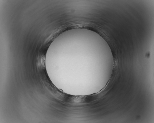 X0000115230094200911201608