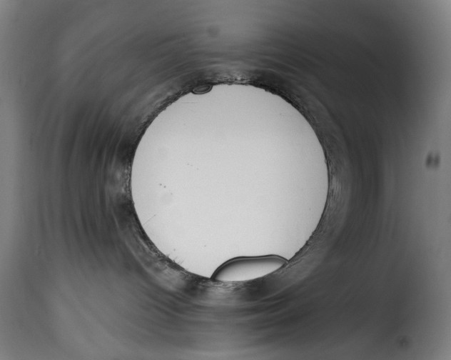 X0000115230096200911201608