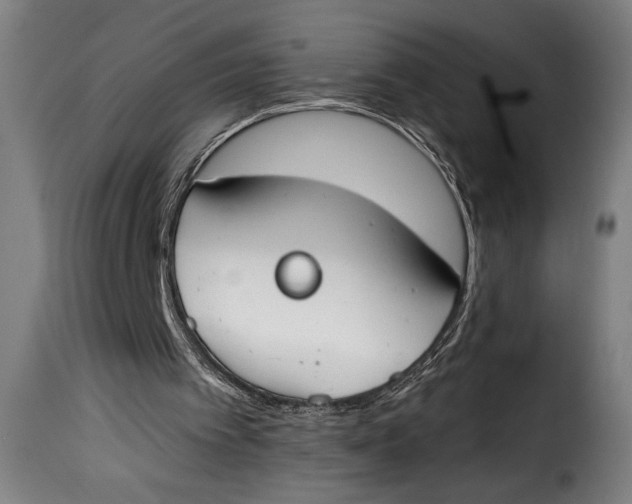 X0000115230097200911201607