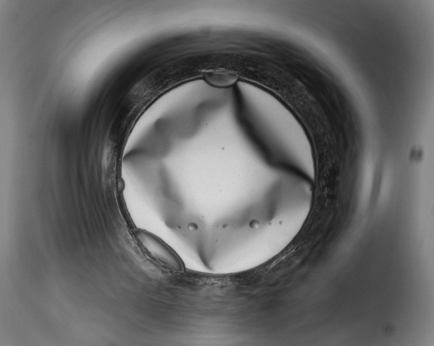 X0000115230099200911201607