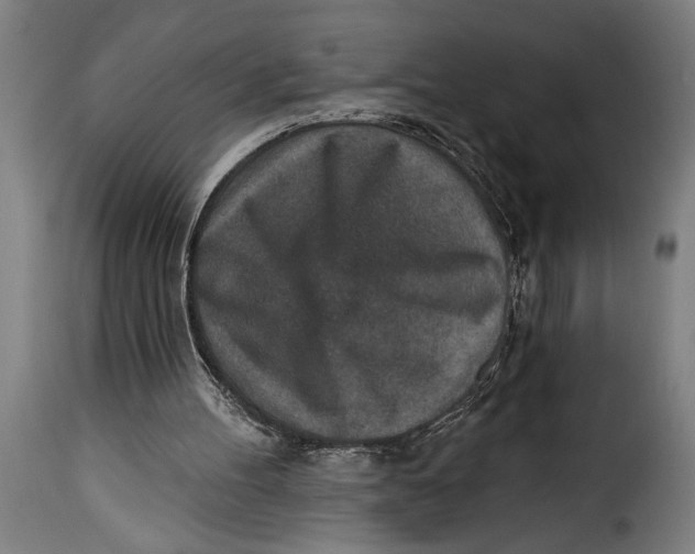 X0000115230100200911201607