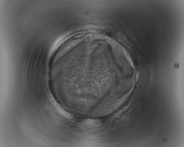 X0000115230101200911201607