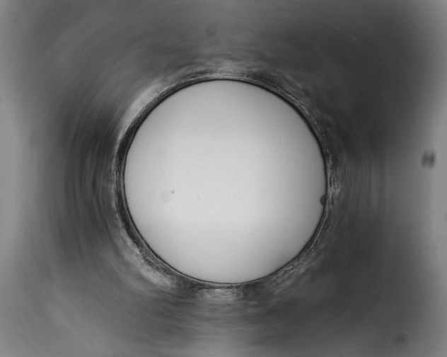 X0000115230102200911201607