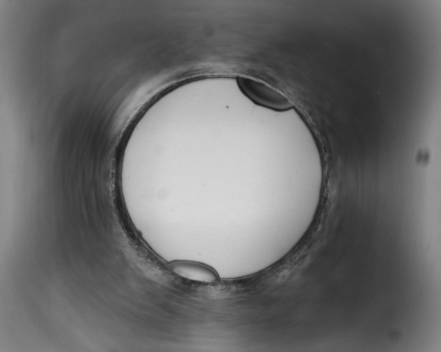 X0000115230103200911201607