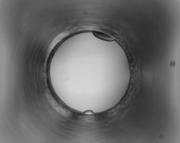 X0000115230104200911201607