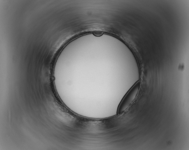 X0000115230108200911201607