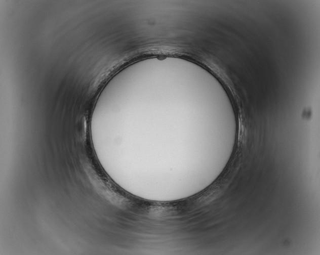 X0000115230109200911201607