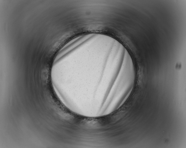 X0000115230113200911201607