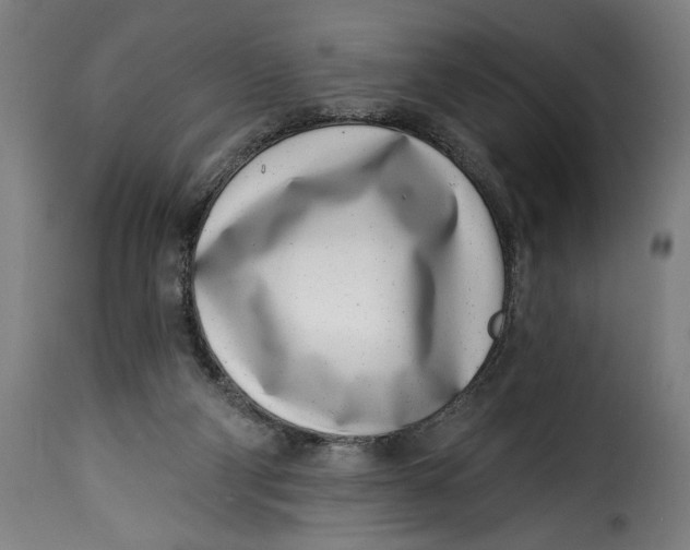 X0000115230114200911201606