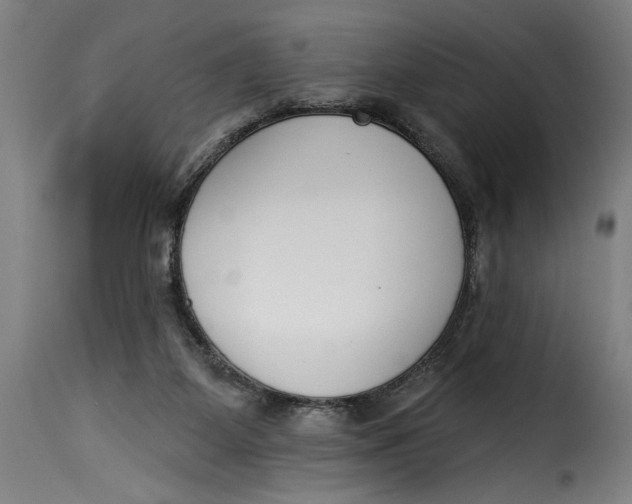 X0000115230115200911201606