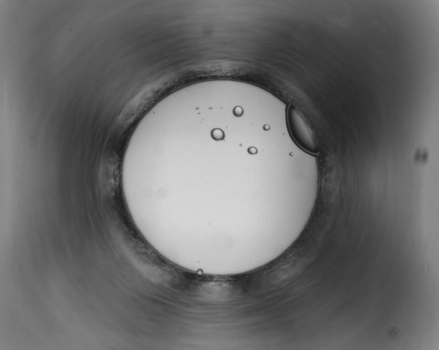 X0000115230119200911201606