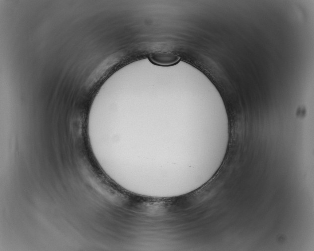 X0000115230120200911201606