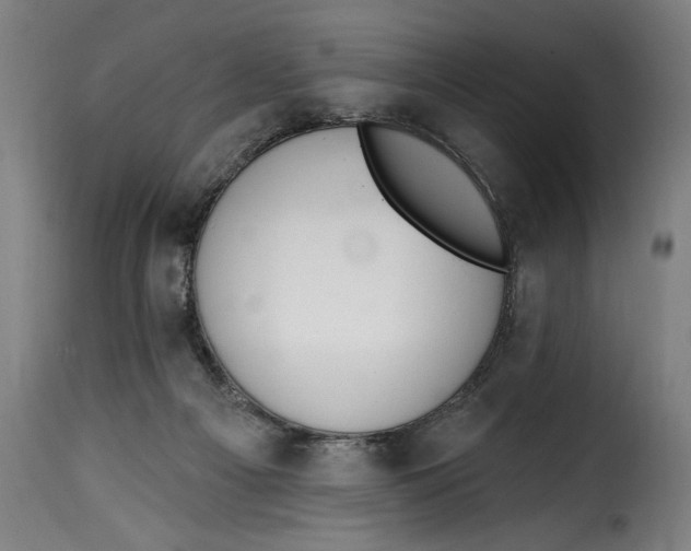 X0000115230121200911201606