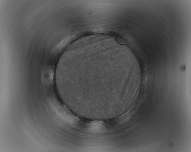 X0000115230124200911201606