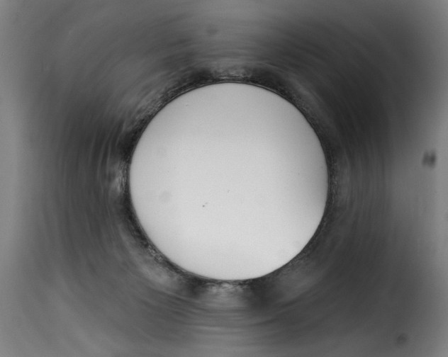 X0000115230125200911201606