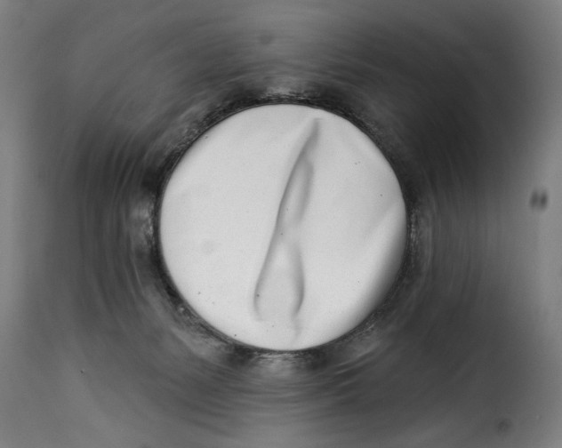 X0000115230127200911201606