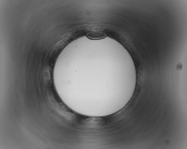 X0000115230128200911201606