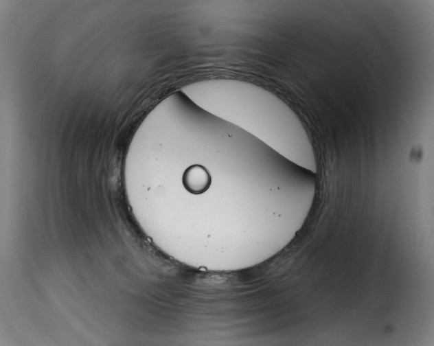 X0000115230129200911201606