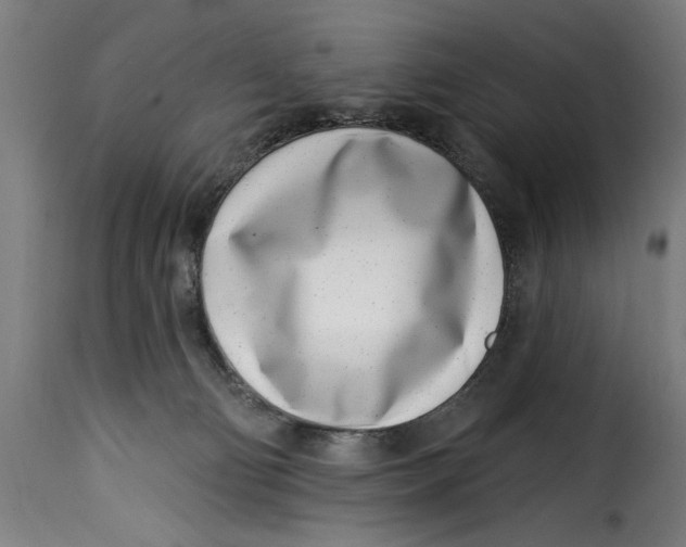 X0000115230130200911201606