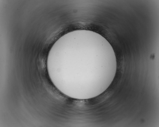 X0000115230131200911201606