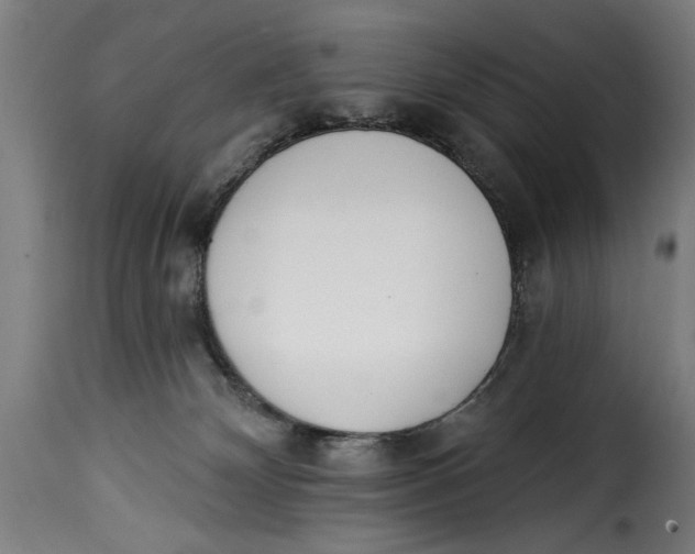 X0000115230132200911201606