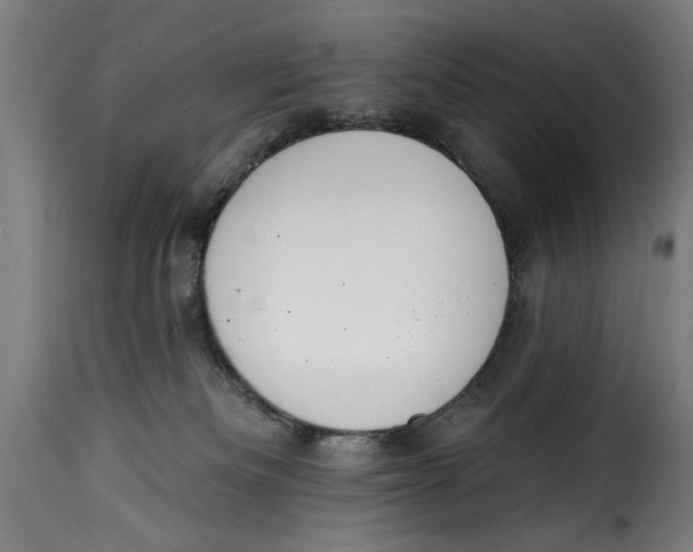 X0000115230133200911201606