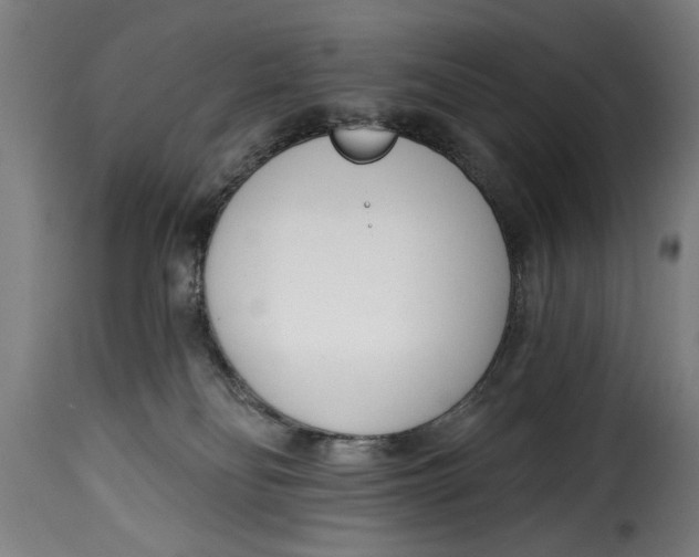 X0000115230134200911201606