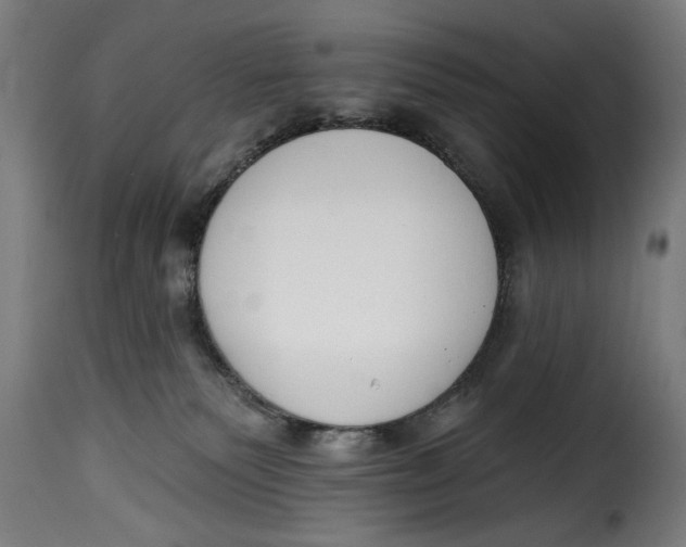 X0000115230135200911201606