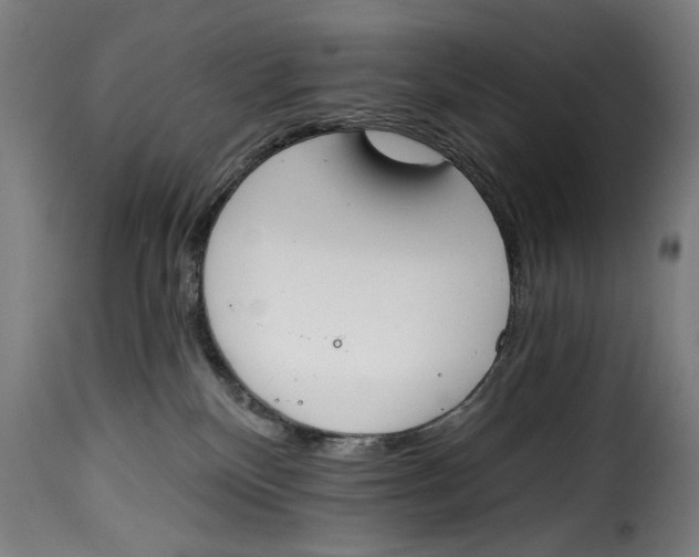 X0000115230136200911201606