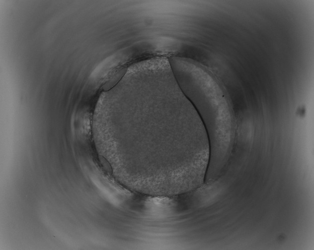 X0000115230137200911201606