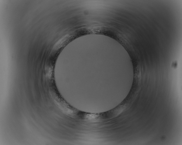 X0000115230139200911201606