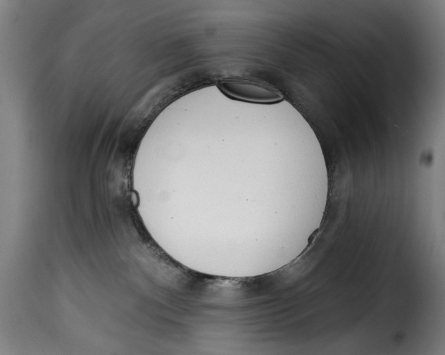 X0000115230140200911201606