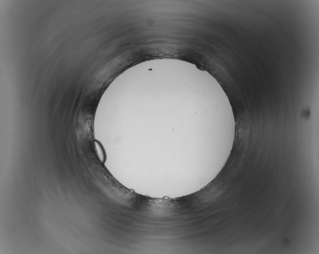 X0000115230141200911201606