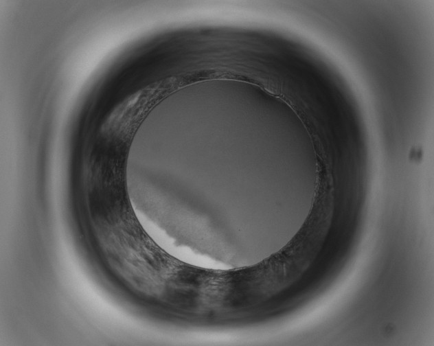 X0000115230143200911201606