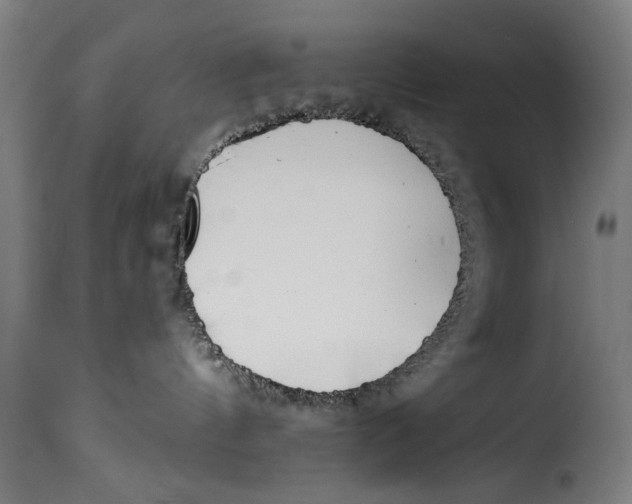 X0000115230144200911201606