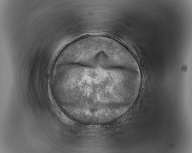 X0000115230145200911201605